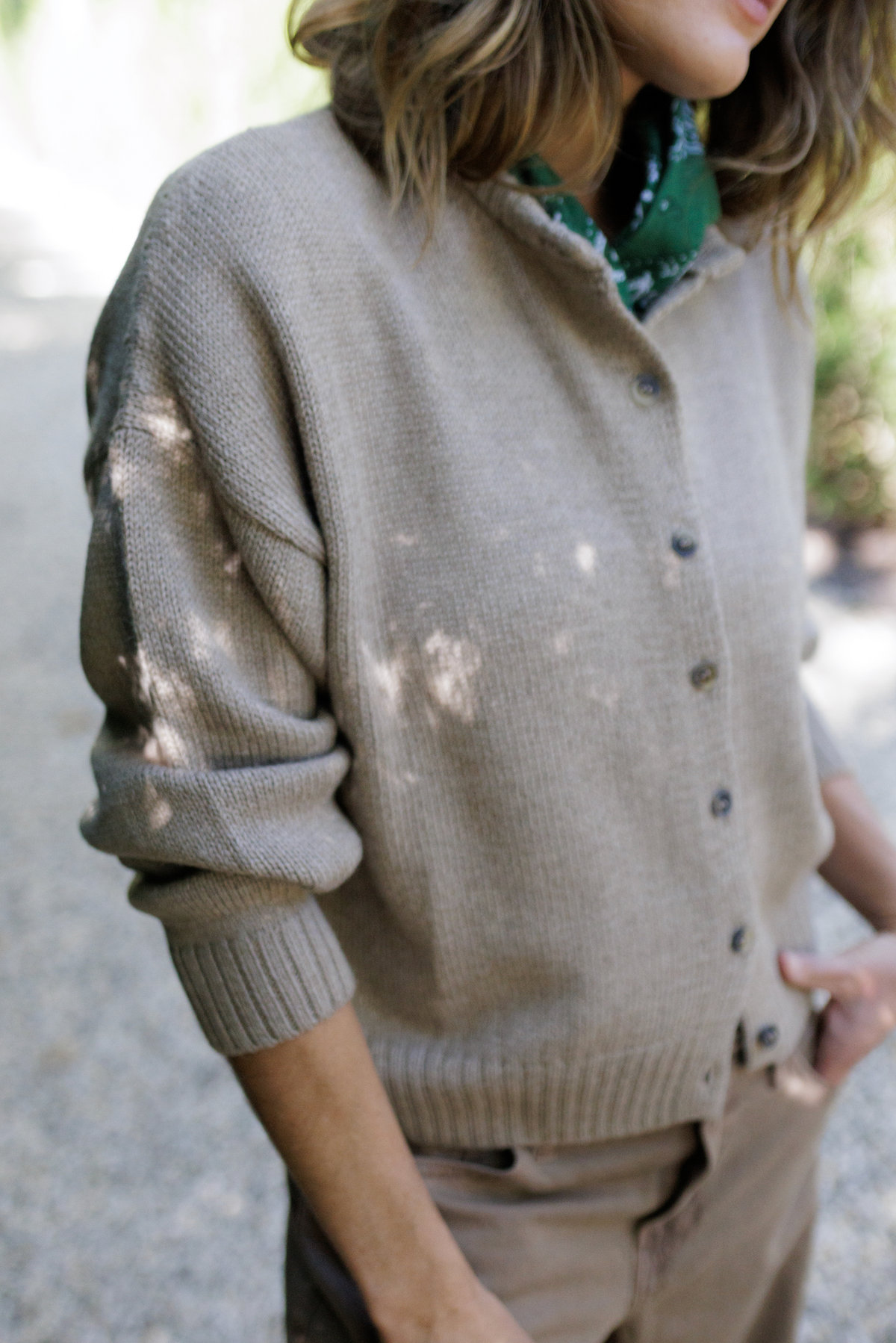 The Cardigan